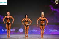 Кубок Ивановской области по бодибилдингу - 2026