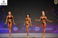 Кубок Ивановской области по бодибилдингу - 2026