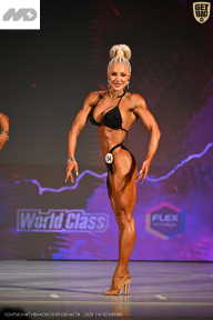 Кубок Ивановской области по бодибилдингу - 2026