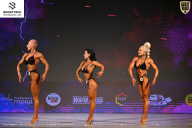 Кубок Ивановской области по бодибилдингу - 2026