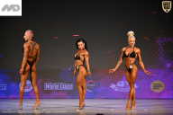 Кубок Ивановской области по бодибилдингу - 2026