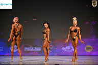 Кубок Ивановской области по бодибилдингу - 2026