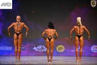 Кубок Ивановской области по бодибилдингу - 2026