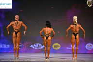 Кубок Ивановской области по бодибилдингу - 2026