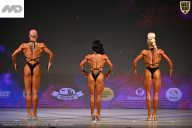 Кубок Ивановской области по бодибилдингу - 2026