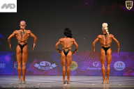 Кубок Ивановской области по бодибилдингу - 2026