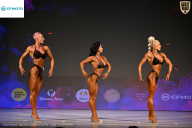 Кубок Ивановской области по бодибилдингу - 2026