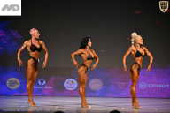 Кубок Ивановской области по бодибилдингу - 2026