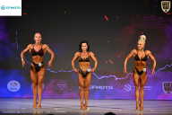 Кубок Ивановской области по бодибилдингу - 2026