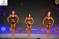 Кубок Ивановской области по бодибилдингу - 2026