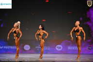 Кубок Ивановской области по бодибилдингу - 2026