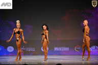 Кубок Ивановской области по бодибилдингу - 2026