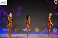 Кубок Ивановской области по бодибилдингу - 2026