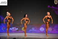 Кубок Ивановской области по бодибилдингу - 2026