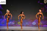 Кубок Ивановской области по бодибилдингу - 2026