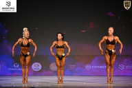 Кубок Ивановской области по бодибилдингу - 2026