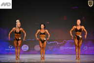 Кубок Ивановской области по бодибилдингу - 2026