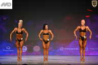 Кубок Ивановской области по бодибилдингу - 2026