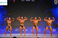 Кубок Ивановской области по бодибилдингу - 2026