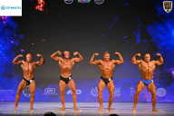 Кубок Ивановской области по бодибилдингу - 2026