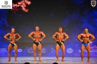 Кубок Ивановской области по бодибилдингу - 2026