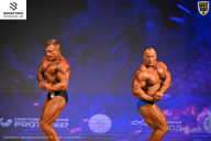 Кубок Ивановской области по бодибилдингу - 2026