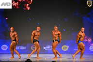 Кубок Ивановской области по бодибилдингу - 2026