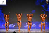 Кубок Ивановской области по бодибилдингу - 2026