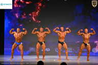 Кубок Ивановской области по бодибилдингу - 2026