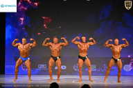 Кубок Ивановской области по бодибилдингу - 2026