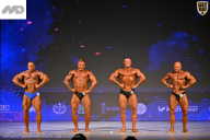 Кубок Ивановской области по бодибилдингу - 2026