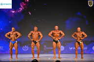 Кубок Ивановской области по бодибилдингу - 2026