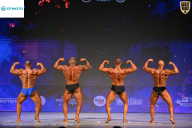 Кубок Ивановской области по бодибилдингу - 2026