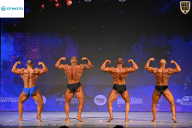 Кубок Ивановской области по бодибилдингу - 2026