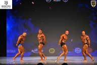 Кубок Ивановской области по бодибилдингу - 2026