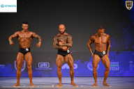 Кубок Ивановской области по бодибилдингу - 2026