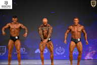 Кубок Ивановской области по бодибилдингу - 2026