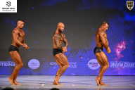 Кубок Ивановской области по бодибилдингу - 2026