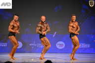 Кубок Ивановской области по бодибилдингу - 2026