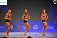 Кубок Ивановской области по бодибилдингу - 2026