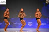 Кубок Ивановской области по бодибилдингу - 2026