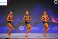 Кубок Ивановской области по бодибилдингу - 2026