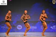 Кубок Ивановской области по бодибилдингу - 2026