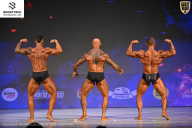 Кубок Ивановской области по бодибилдингу - 2026