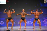 Кубок Ивановской области по бодибилдингу - 2026