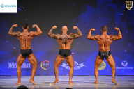 Кубок Ивановской области по бодибилдингу - 2026