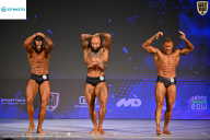 Кубок Ивановской области по бодибилдингу - 2026