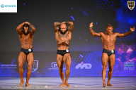 Кубок Ивановской области по бодибилдингу - 2026