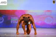 Кубок Ивановской области по бодибилдингу - 2026