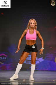 Кубок Ивановской области по бодибилдингу - 2026